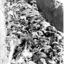 La prensa internacional tuvo acceso a las fosas comunes donde fueron enterrados los cientos de víctimas civiles de Cassinga. Foto: Archivo Granma