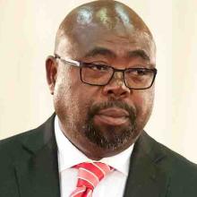 Ministro sudafricano de Obras Públicas, Thulas Nxesi