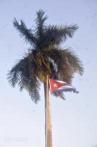 Cuba Libre, Palma Real y la Bandera Cubana.
