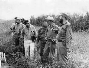 Fidel (al lado Faustino Pérez), visitaba los lugares y chequeaba cada detalle del programa arrocero. Fidel (al lado Faustino Pérez), visitaba los lugares y chequeaba cada detalle del programa arrocero.
